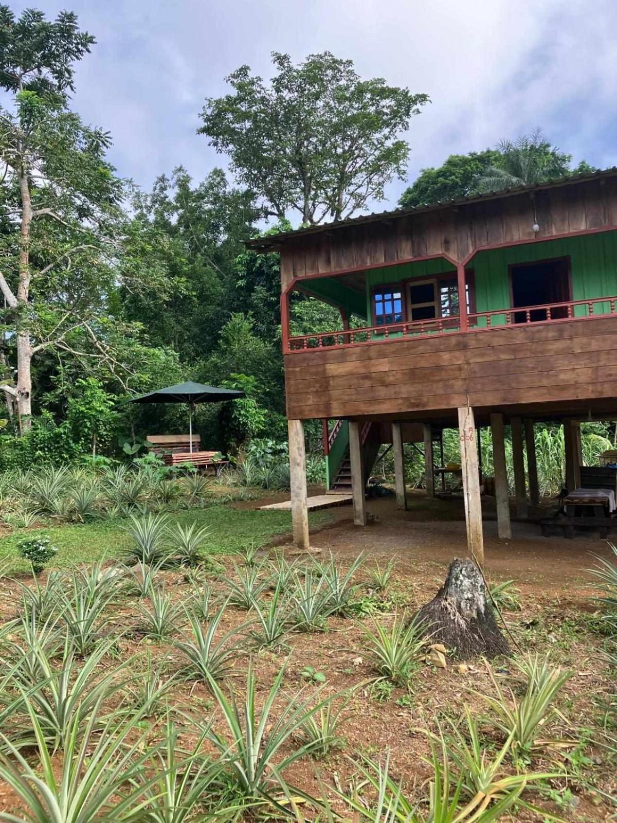 Casas Salomao Hotel Santo António Exterior foto